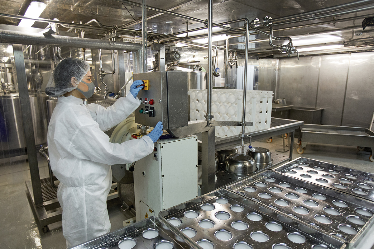 Food Processing